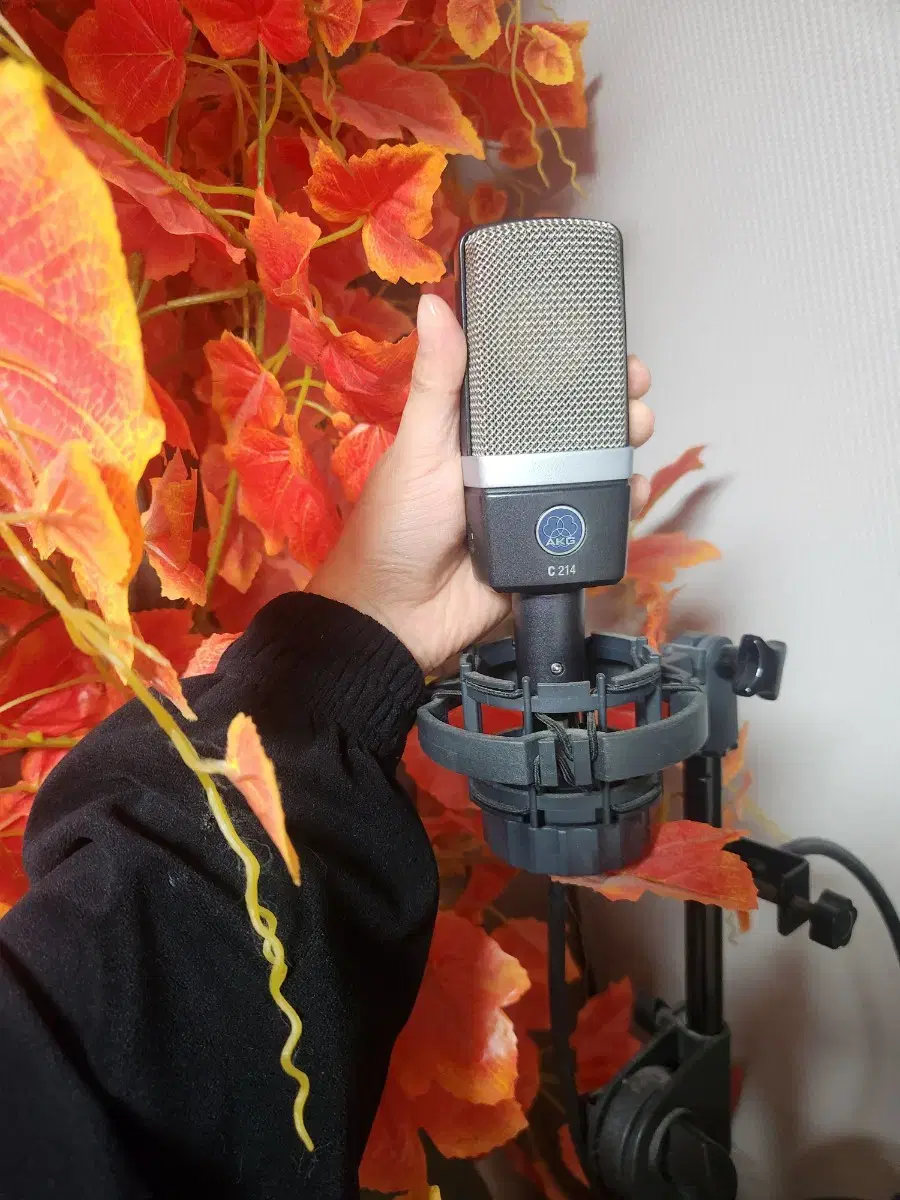 Akg C214 콘덴서마이크 팔아요