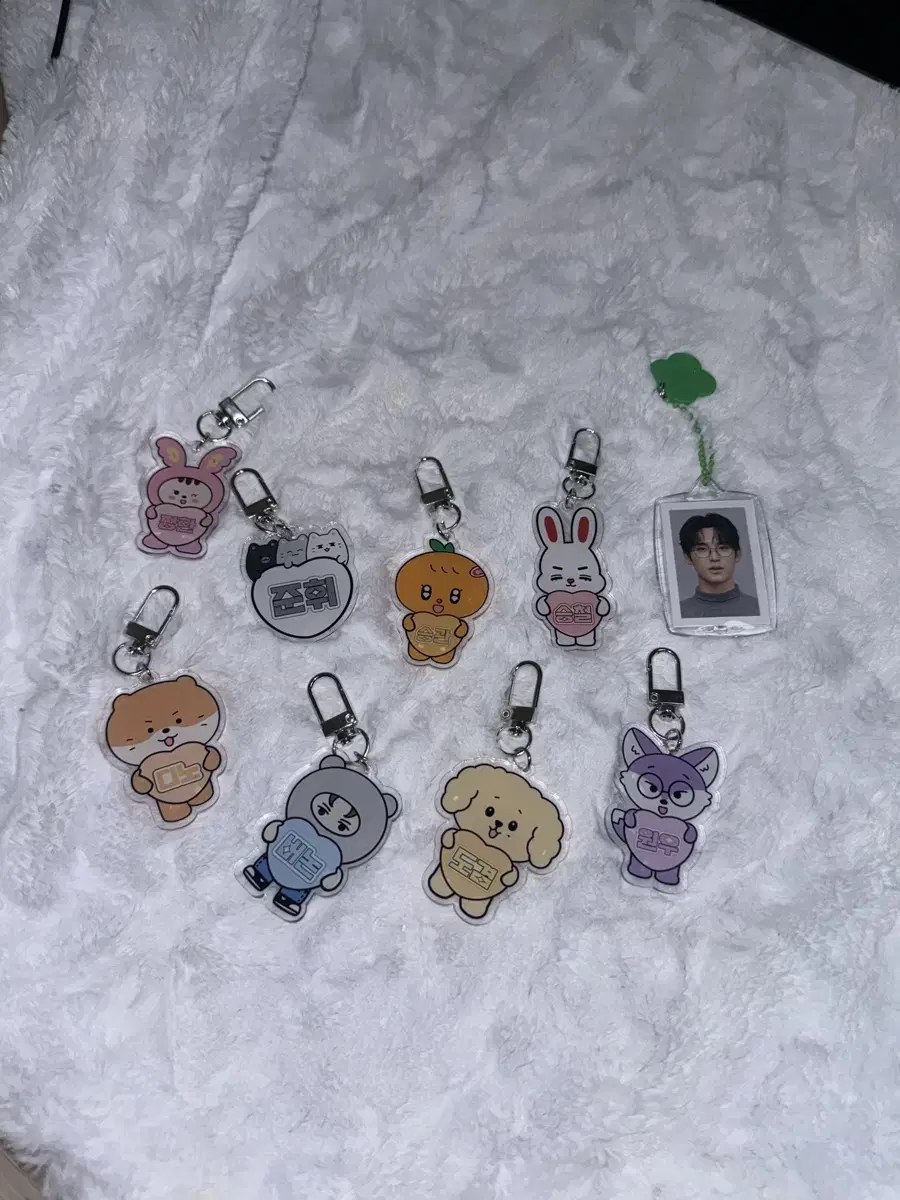 SEVENTEEN keyring minitin new items for sale baro