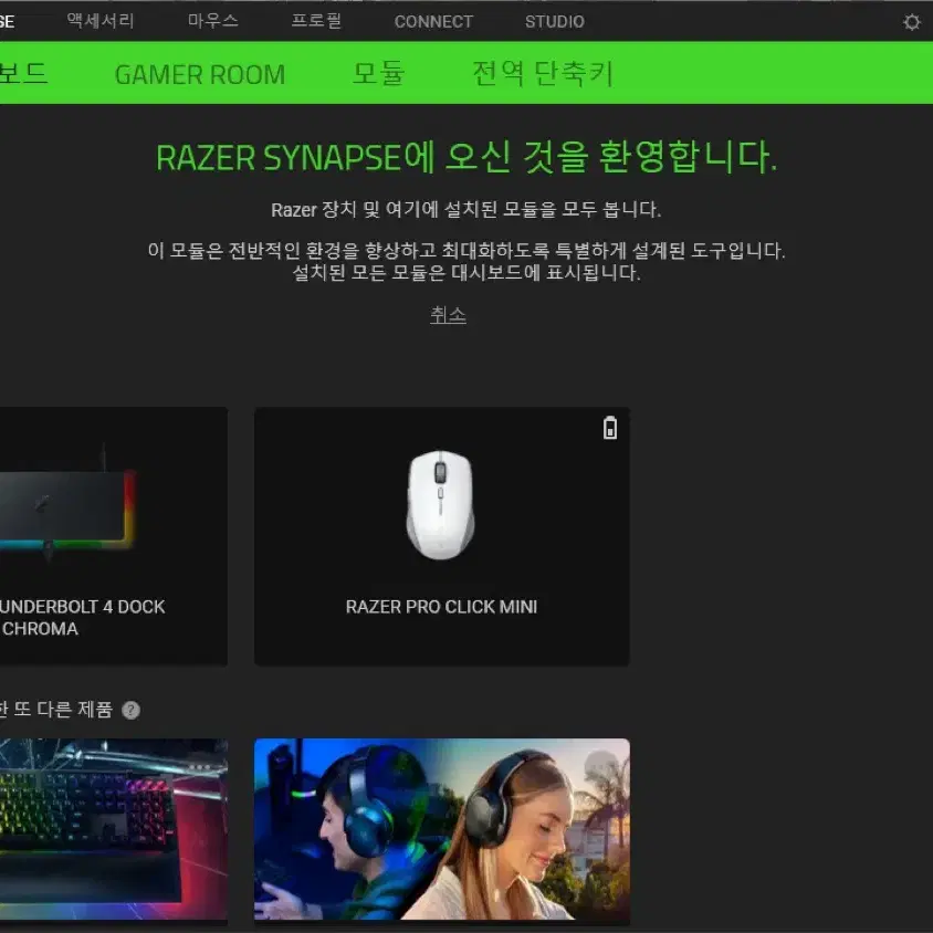 레이저 썬더볼트4독 / RAZER Thunderbolt 4 Dock