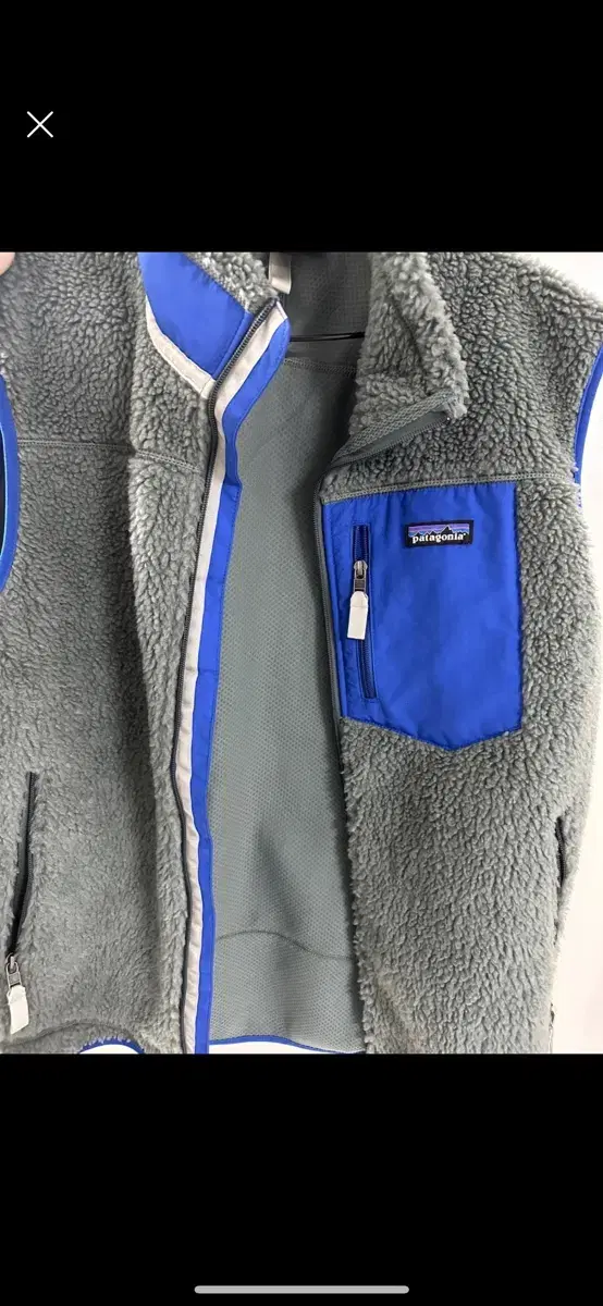 Patagonia Fleece Vest