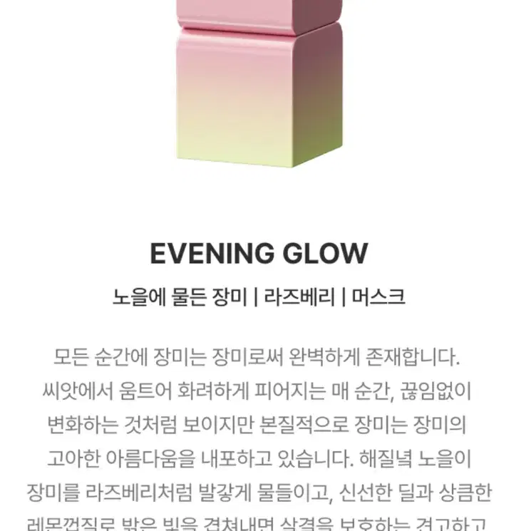 탬버린즈  고체향수 변우석 픽 EVENING GLOW향