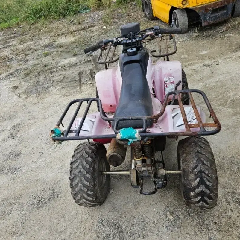 와우 100cc ATV 오토바이 - 강력 파워