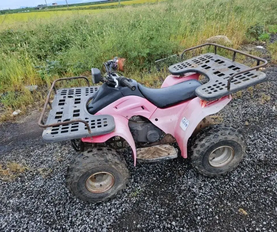 와우 100cc ATV 오토바이 - 강력한 힘