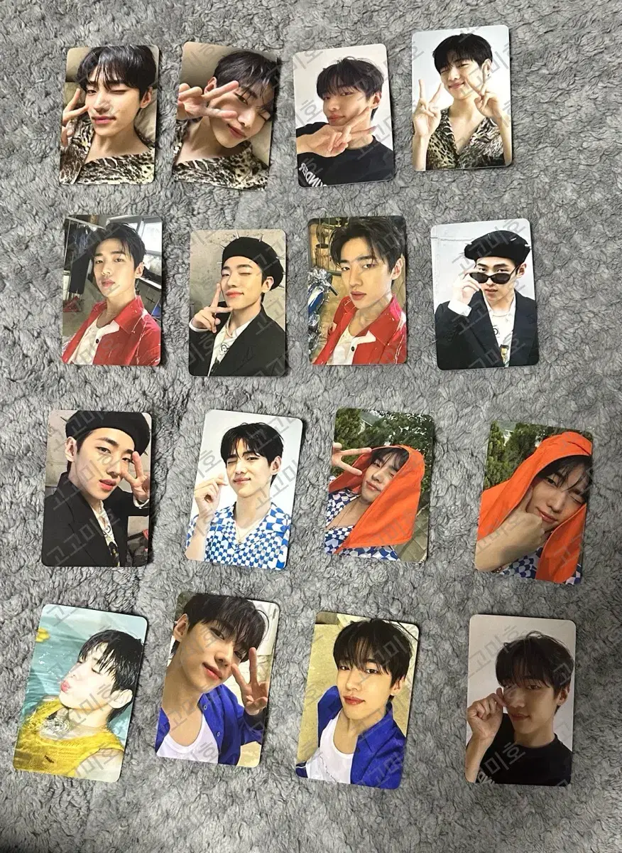 Chan photocard transfers wts