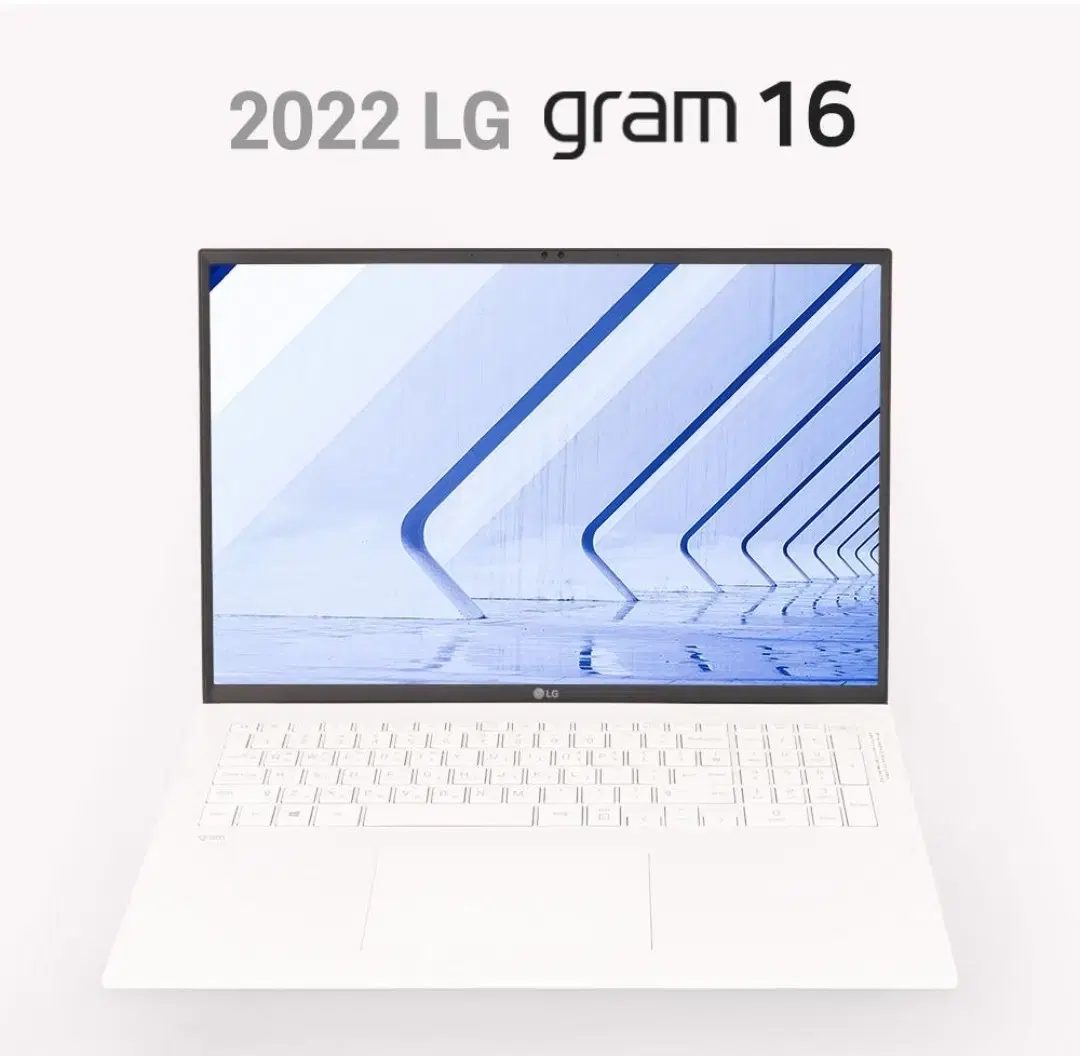 LG 그램 i7 12세대 16ZD90Q-GX76K 고사양