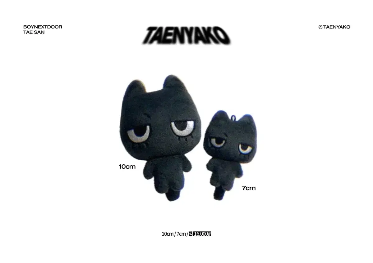 Tanyako Spot 7cm wts boynextdoor taesan Dolls