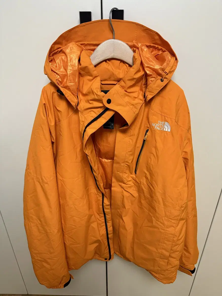 L) The North Face Gore-Tex Padding 900 Fei