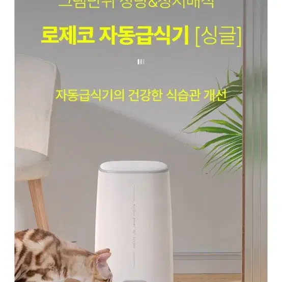 로제코 자동급식기 싱글 4L wifi 판매