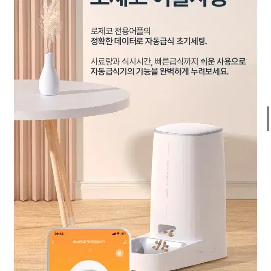 로제코 자동급식기 싱글 4L wifi 판매