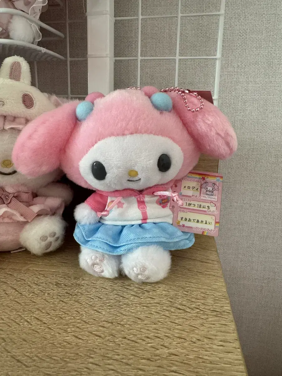 My Melody Profile Book Series Mascot