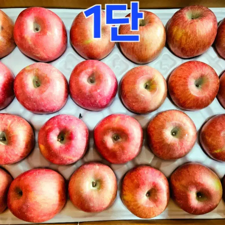 (택포) 충주 사과 10kg 47과 품종'부사'