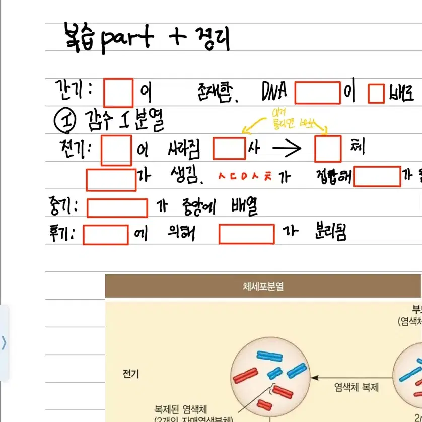 유전 Basic 필기본 판매(스킬제외, 비상교육)