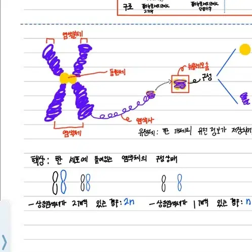 유전 Basic 필기본 판매(스킬제외, 비상교육)