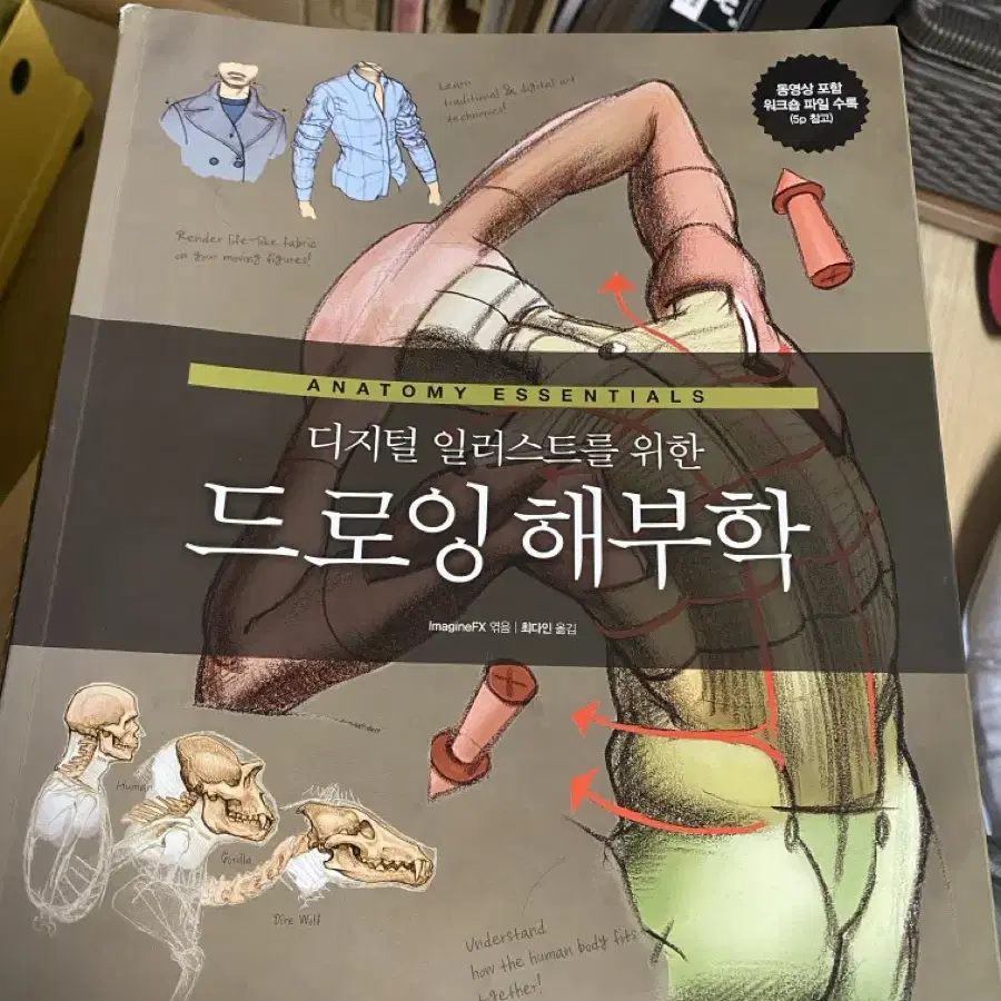 드로잉해부학, 포스드로잉 일괄