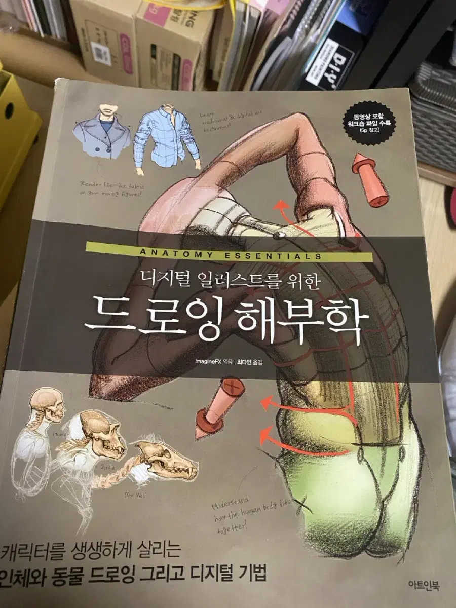 드로잉해부학, 포스드로잉 일괄