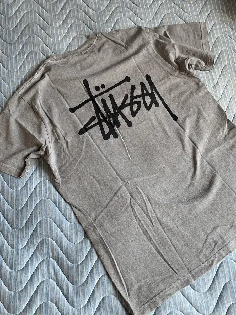 [M] Stussy Pigment Short Sleeve Gray