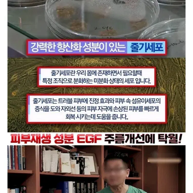 줄기세포토너 1000ml