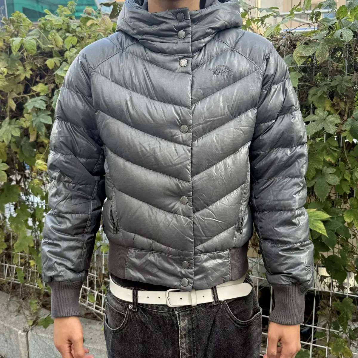 The north face 550 padding jacket