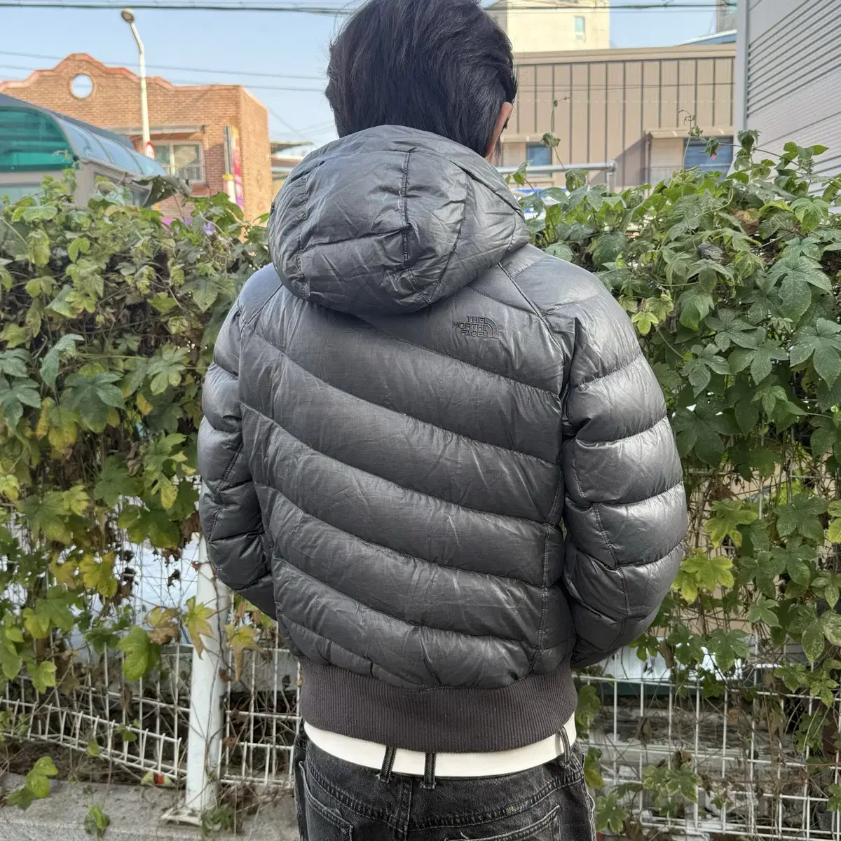 The north face 550 padding jacket