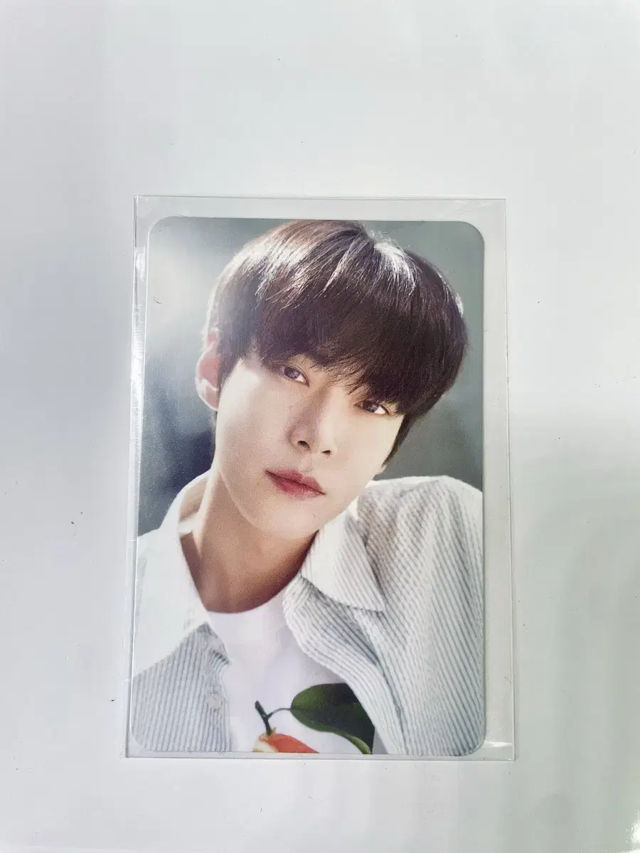 nct 127 doyoung gapyeong photocard wts