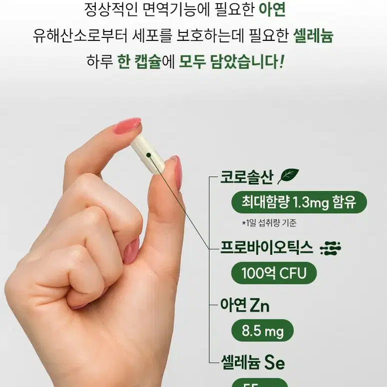 무료배송 하루 락토 혈당케어 100억 유산균 아연 미국