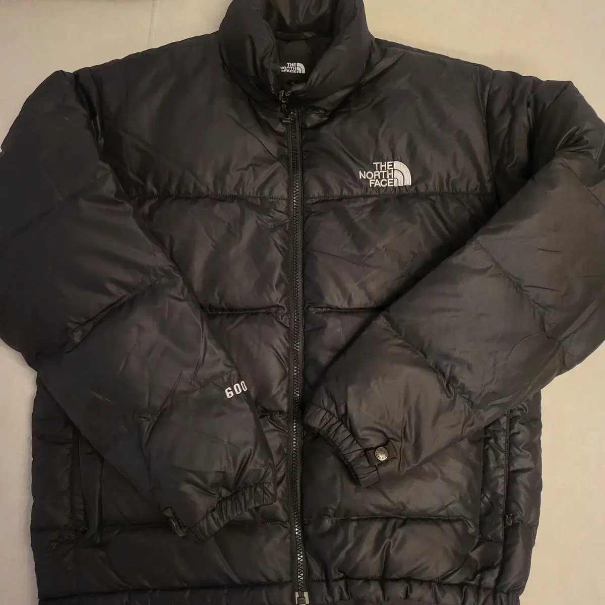 The North Face Padded Goose Down 600 90