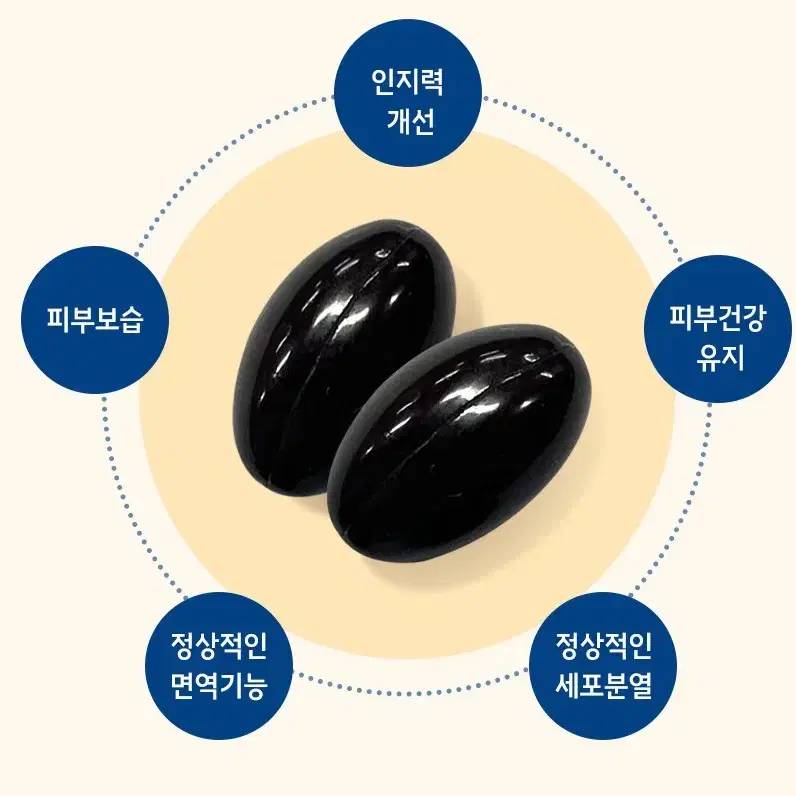 무료배송 브레인레스큐 60캡슐 기억력 인지력 향상