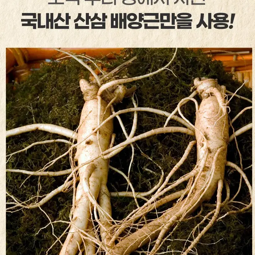 무료배송 지리산마천농협맞춤산삼배양근진액 30포