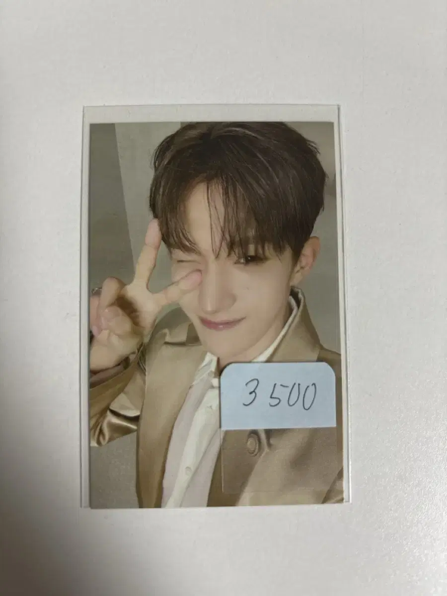 seventeen dk cat hood md photocard photocard wts