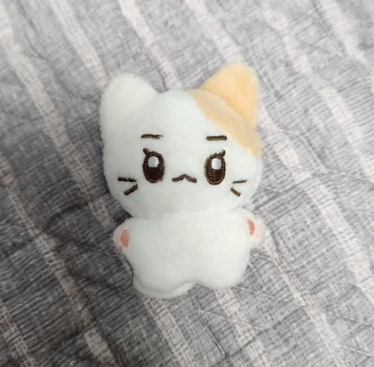 Petitjam jaemin doll nct Dream wts Sell