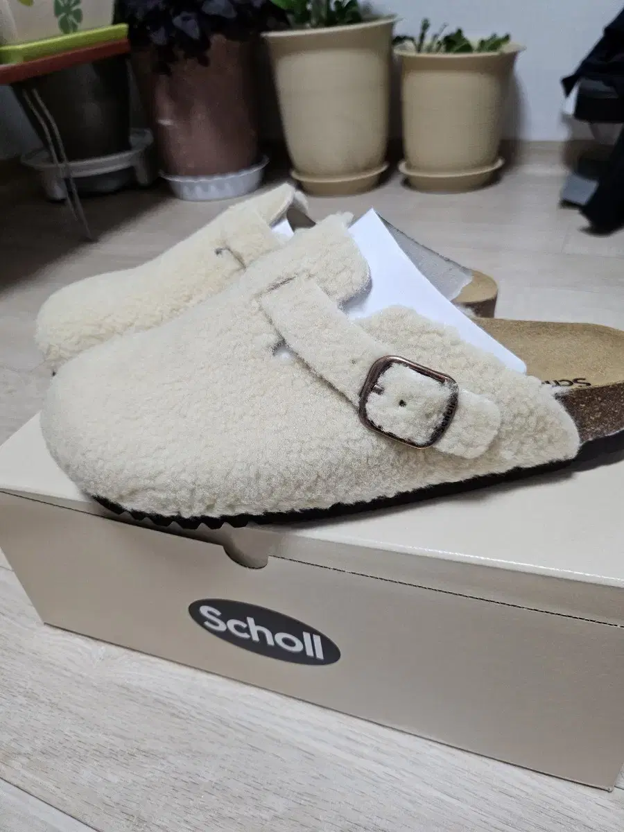 Scholl 뽀글이 보스턴 Hh49k2c150 38(240)