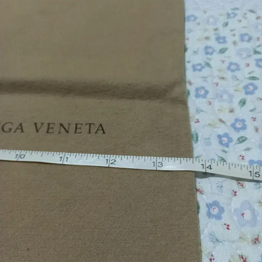 BOTTEGA VENETA 파우치