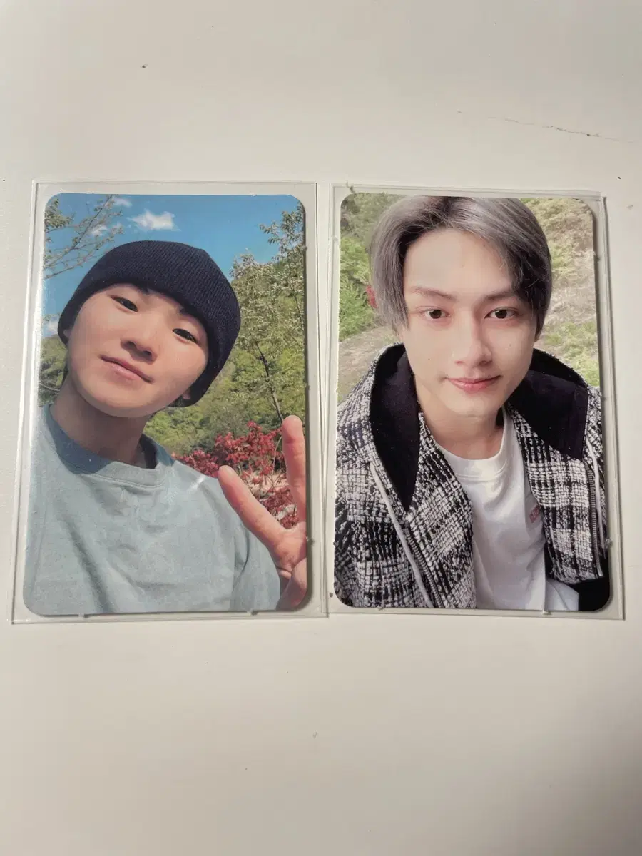 In the Forest photocard wts