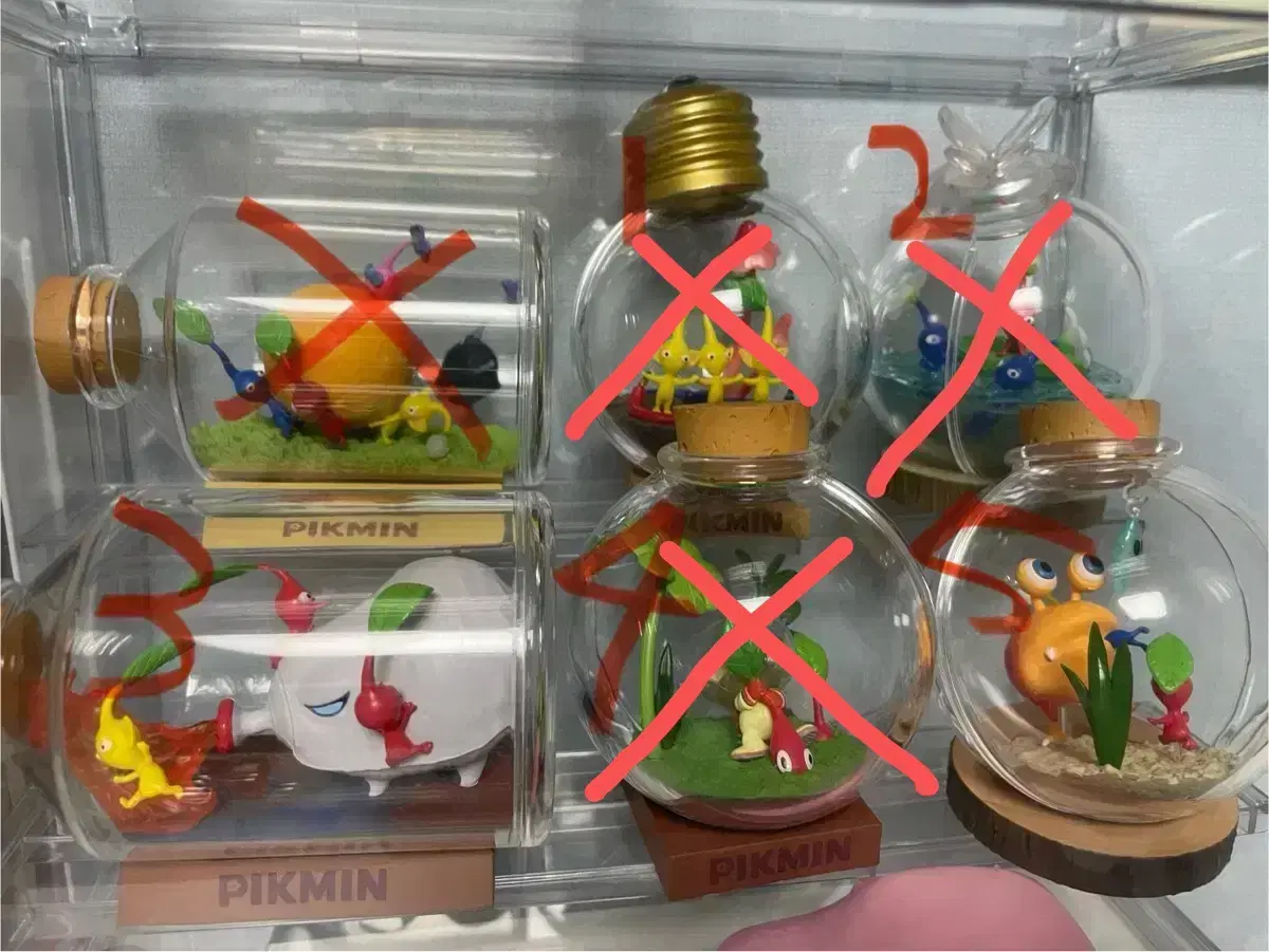 Pikmin terrariums for sale