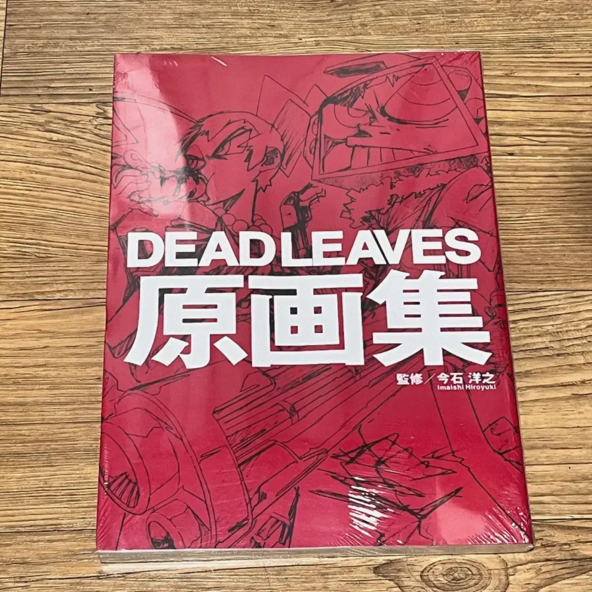 이마이시 히로유키 DEAD LEAVES 데드리브즈 데드리브스 원화집