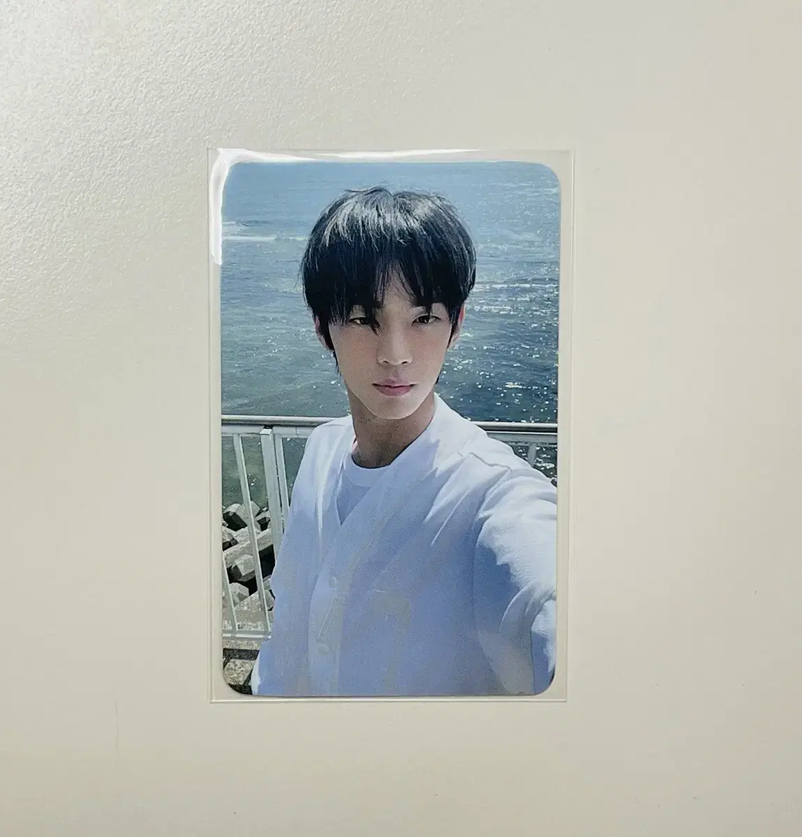 TWS Sparkling bloo m2u ld Dohoon Photo Card