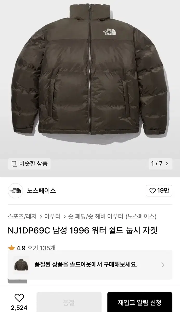 노스페이스 1996 눕시 브라운