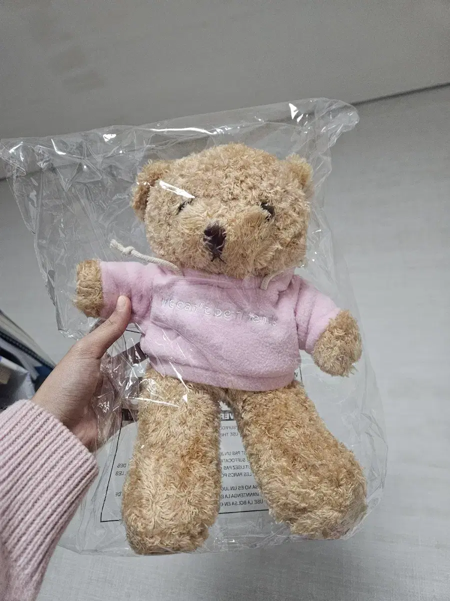 [Official Goods] Ariana Grande WE CAN'T BE FRIENDS Teddy Bear