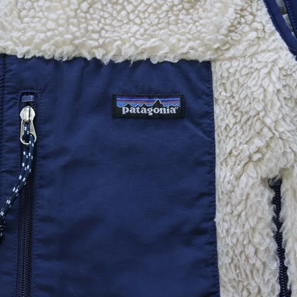 patagonia 00s retro x deep pile vest