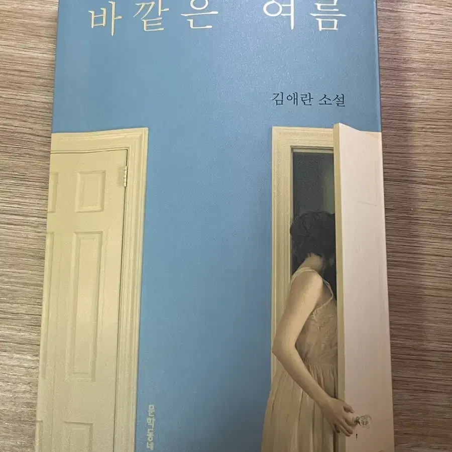 바깥은 여름