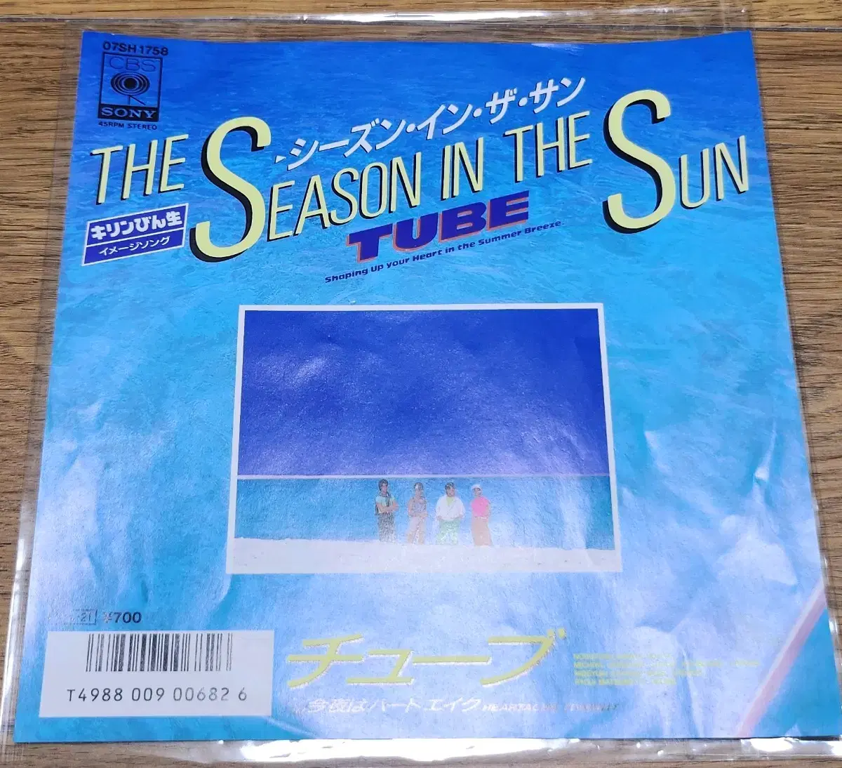 TUBE THE SEASON IN THE SUN 싱글LP 튜브