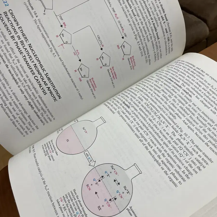 Organic Chemistry, Study Guide