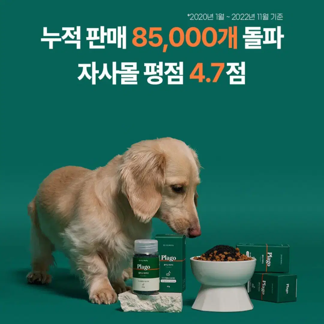 플라고 덴탈 파우더(강아지&고양이)치태구취제거