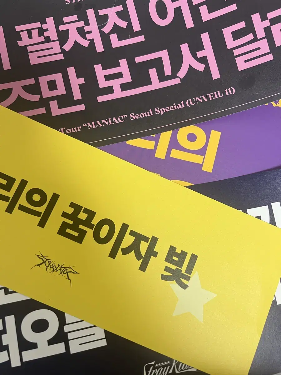 Straykids ManiacCon , Magic School , worldtour slogan WTS