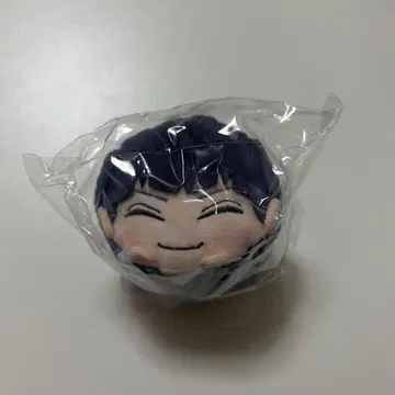 괴수 8호 극락탕 호시나 소우시로 모치코로린