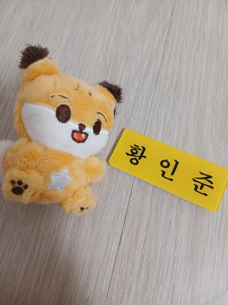 (with name tag) nct Dream Runkomi renjun doll WTS