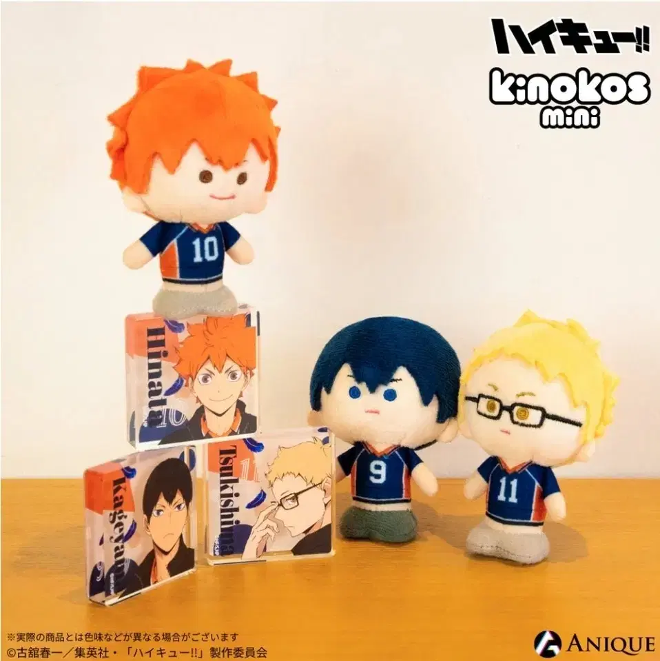 [Tool]Haikyuu KINOKOS Mini Doll + Mini Acrylic