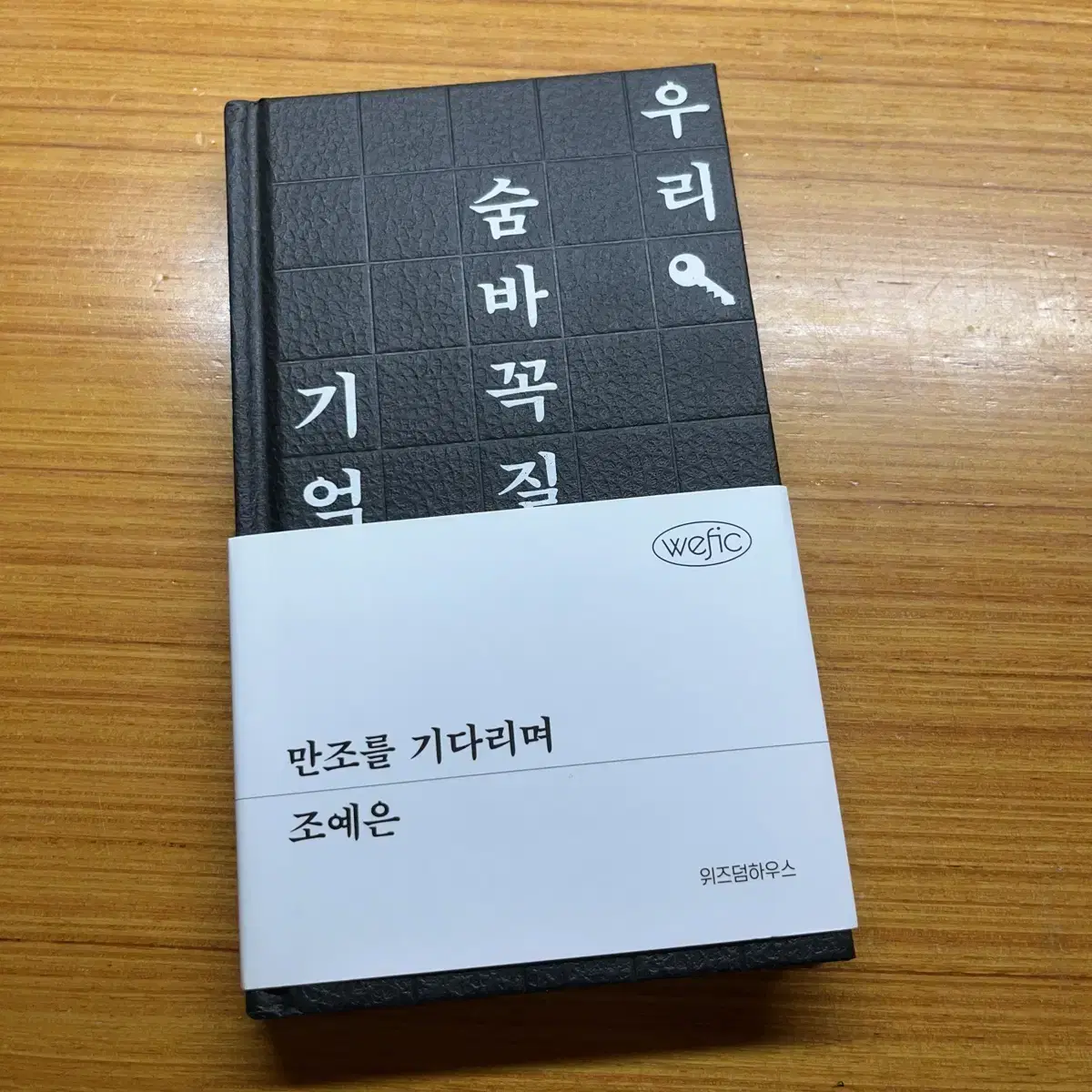 조예은 작가님 만조를 기다리며