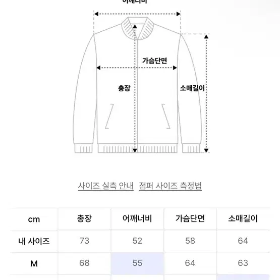 [핏더사이즈 추천] 커스텀 어클락 벌룬 패딩 - 사진 제품의 구버전