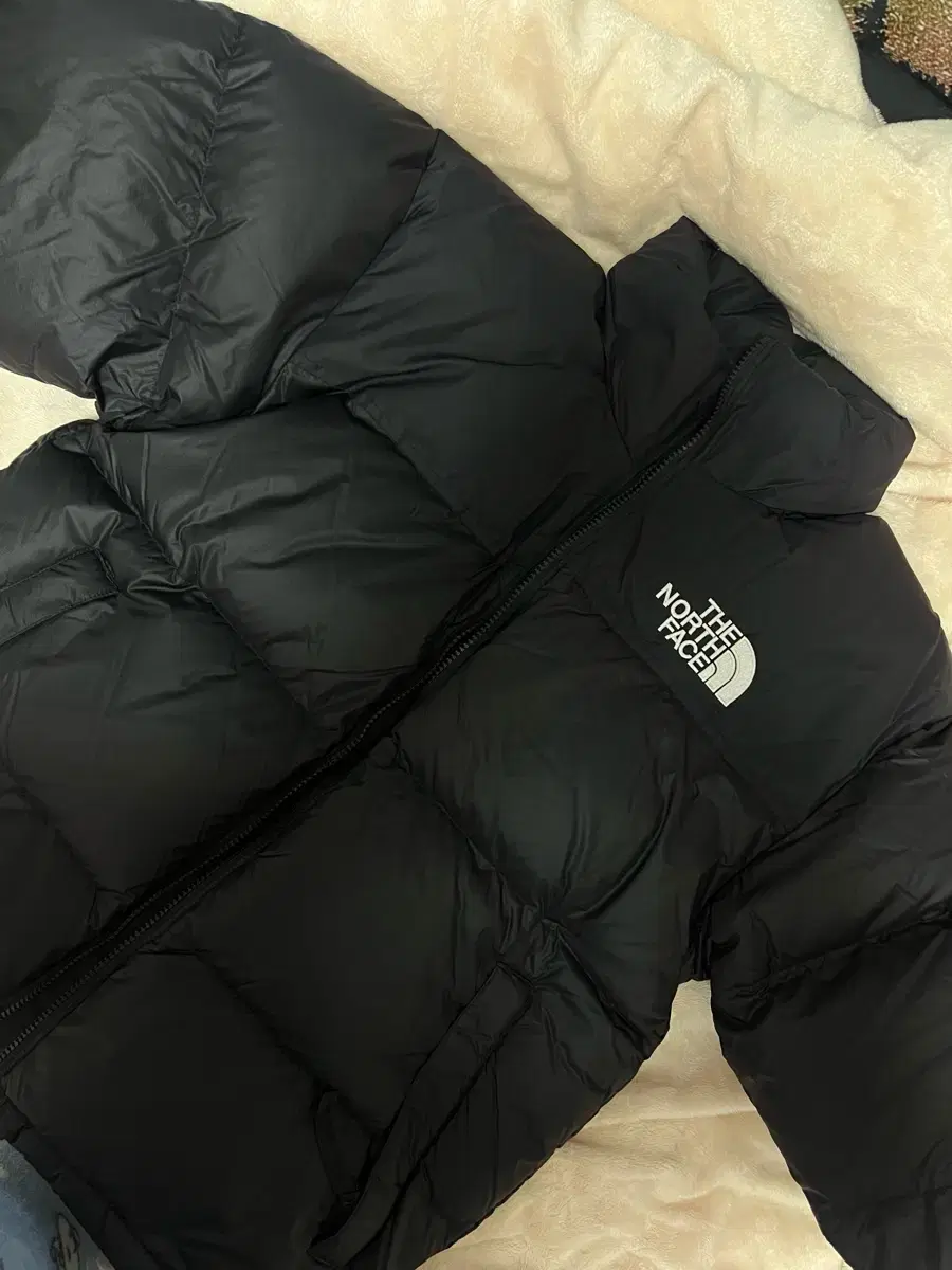 The North Face Short Padding (Matte)